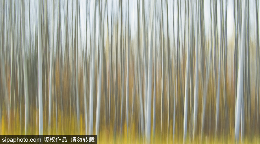 純凈的北方國度 加拿大冬日風(fēng)光（組圖）