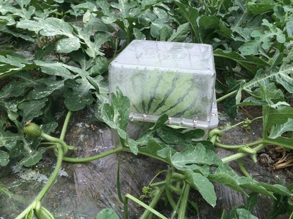 2017年大受歡迎的8項(xiàng)創(chuàng)意發(fā)明