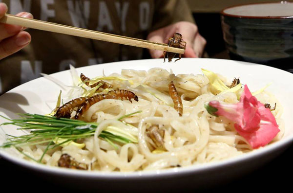 雙語盤點(diǎn)：2017年讓食客趨之若鶩的奇葩美食（組圖）