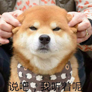 如何高級又委婉地表達(dá)“你很蠢”？