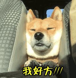 支付寶年度賬單挖了個(gè)大坑，你也不慎掉進(jìn)去了嗎？