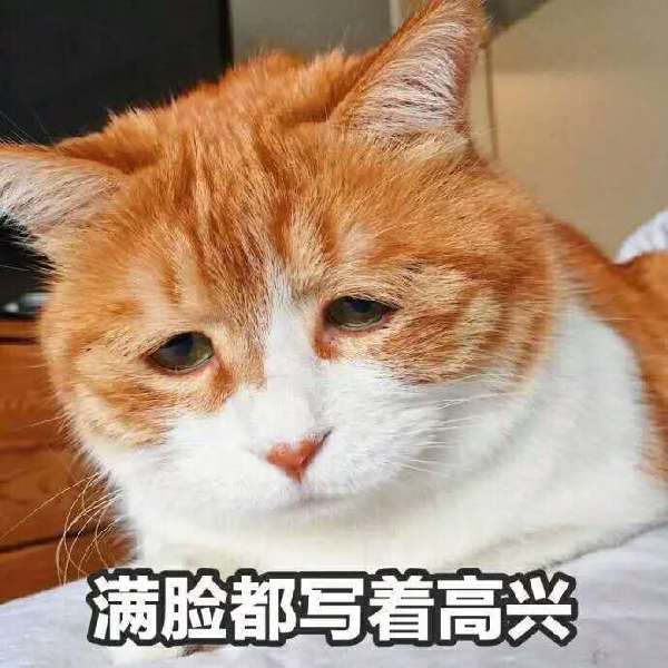 英語(yǔ)四六級(jí)寫(xiě)作經(jīng)典句型歸納
