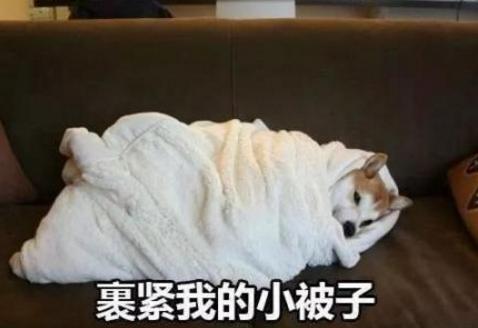 寒潮侵襲！英國人如臨大敵，卻遭北歐加拿大網友無情嘲笑