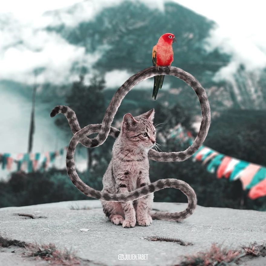 法國PS達人創(chuàng)造出“神奇動物”（組圖）
