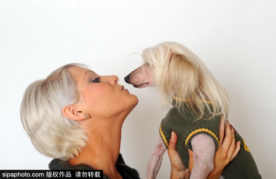人不如狗系列！走進全世界最奢華的狗狗生活（組圖）