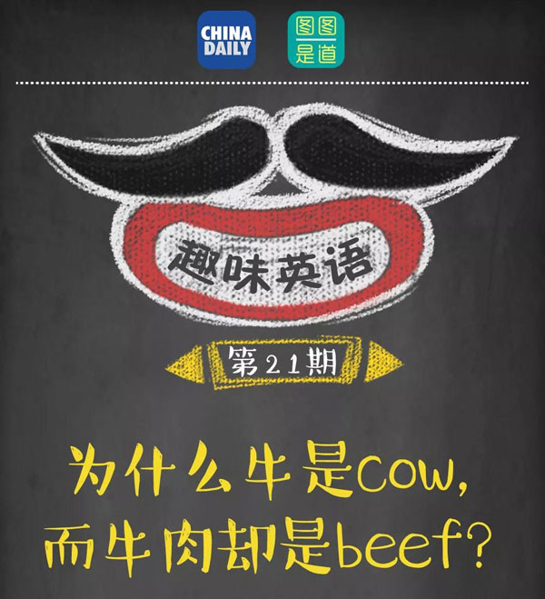 為什么牛是cow，而牛肉卻是beef？