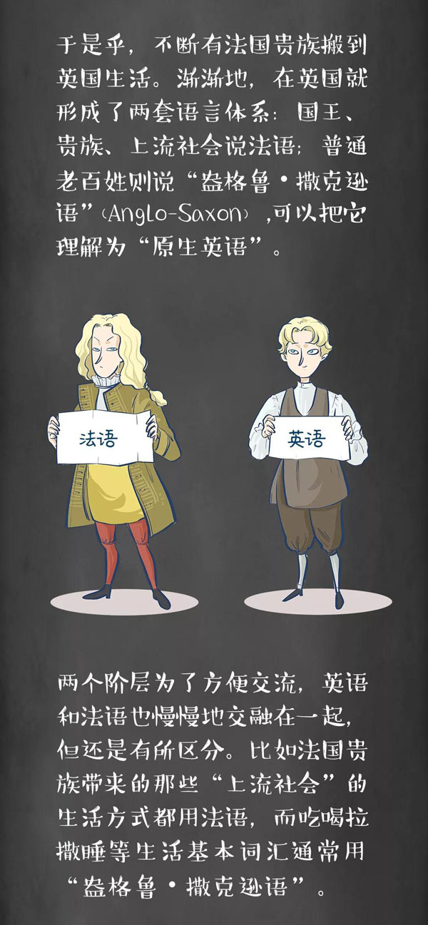 為什么牛是cow，而牛肉卻是beef？