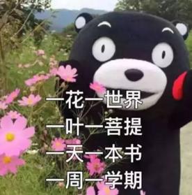 大學(xué)四年，我get了這些神技能