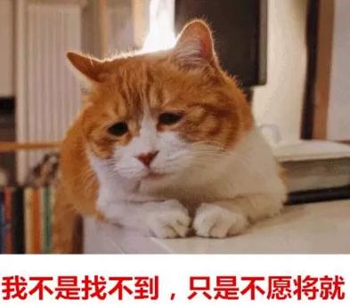 你單身的原因找到了！調(diào)查：七成人不愿將就，半數(shù)男生看臉