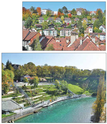 Bear moment in Bern