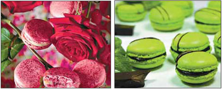 Macaroon madness