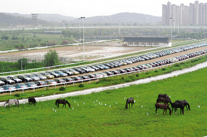 南京國(guó)際賽馬場(chǎng)成了停車(chē)場(chǎng) 每年虧損近千萬(wàn)